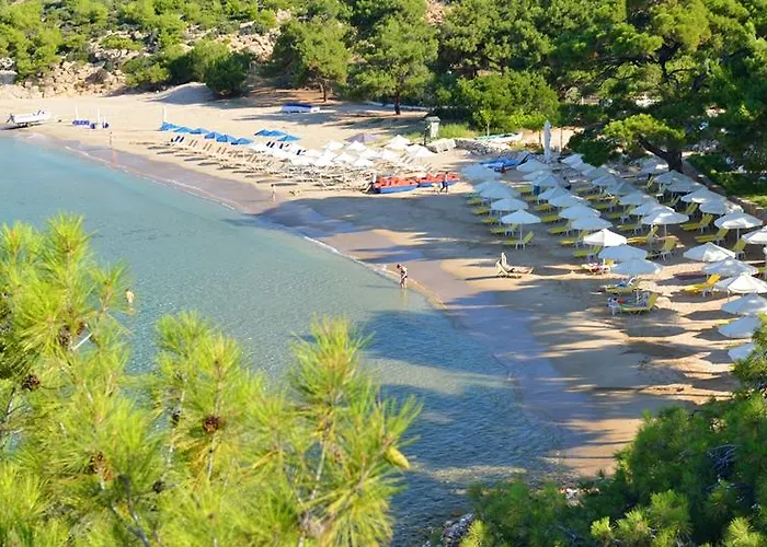 Royal Paradise & - Adults Friendly Potos