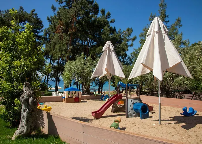 Royal Paradise & - Adults Friendly 5* Ποτός