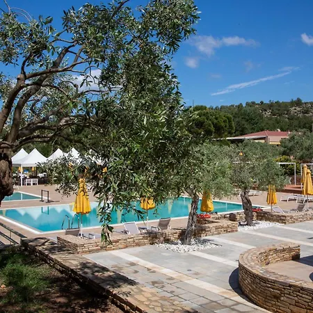 Royal Paradise & - Adults Friendly 5*